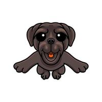 dessin animé mignon chien dogue napolitain sautant vecteur