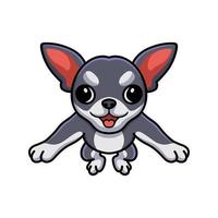 mignon, chihuahua, chien, dessin animé, poser vecteur