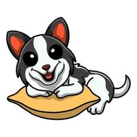 dessin animé mignon chien border collie sur l'oreiller vecteur