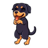 dessin animé mignon petit chien rottweiler vecteur