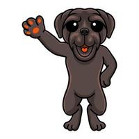 dessin animé mignon chien mastiff napolitain agitant la main vecteur