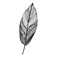 illustration vectorielle d'ornement de plumes en couleurs noir et blanc vecteur