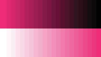 palette de couleurs rose vecteur