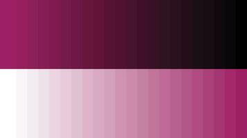 palette de couleurs rose vecteur