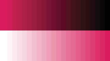 palette de couleurs rose vecteur