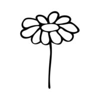 illustration de camomille noir et blanc en vecteur de style doodle