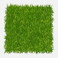 fond d'herbe verte. nature de la pelouse. texture de champ abstrait. texture d'herbe verte. illustration vectorielle vecteur