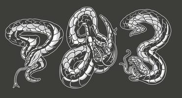 illustrations vectorielles en noir et blanc de serpents vecteur