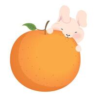 lapin mangeant des fruits orange vecteur