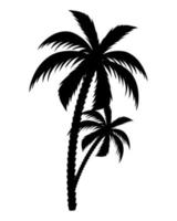 arbres palmiers silhouettes vecteur