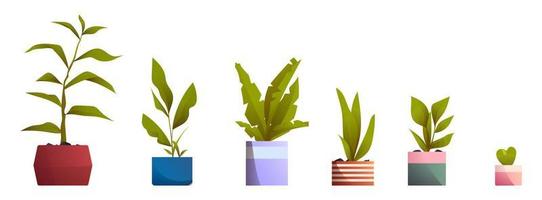 plantes en pots pour l'intérieur de la maison et du bureau vecteur