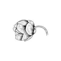 fleur rose lineart illustration design créatif vecteur