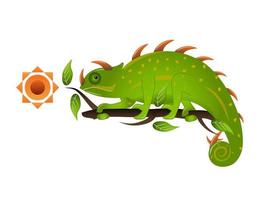 illustration vectorielle de lézards caméléon vert exotique vecteur