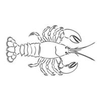 croquis de vecteur de homard