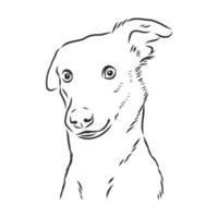 croquis de vecteur de chien