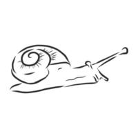 croquis de vecteur d'escargot