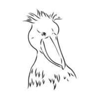 croquis de vecteur oiseau shoebill