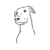 croquis de vecteur de chien