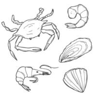 ensemble de fruits de mer dessinés à la main. icônes décoratives calmar, poulpe, saumon, huîtres, pétoncles, homard, perche rouge, crabe, crustacés et moules. illustration vectorielle dans le style d'encre ancienne vecteur