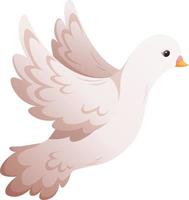 pigeon blanc de dessin animé, colombe de mariage, colombe de la paix isolée vecteur