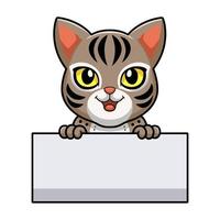 dessin animé mignon chat ocicat tenant une pancarte blanche vecteur