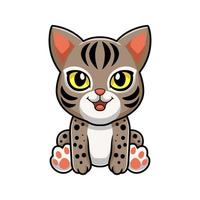 dessin animé mignon chat ocicat assis vecteur