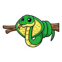 mignon petit dessin animé de serpent cobra sur une branche d'arbre vecteur