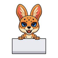 dessin animé mignon chat serval tenant une pancarte blanche vecteur