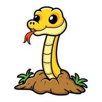 dessin animé mignon serpent insularis jaune hors du sol vecteur