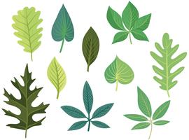 Vecteurs de feuilles vertes gratuites vecteur