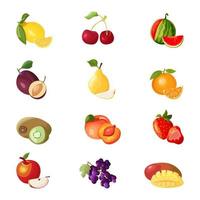 ensemble de fruits et baies, citron, cerise, pastèque, prune, poire, orange, kiwi, pêche, fraise, pomme, grain de raisin, mangue, image vectorielle