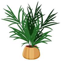 palmier dans un pot de fleurs. plante d'intérieur en plein air. élément de design d'intérieur isolé sur fond blanc vecteur