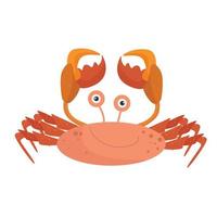 crabe doré illustration graphique vectoriel griffes brunes