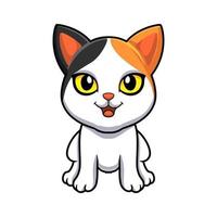 dessin animé mignon chat bobtail japonais vecteur