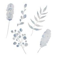 ensemble d'éléments de feuilles bleu clair. vecteur botanique de collection isolé sur fond blanc adapté à l'invitation de mariage, réservez la date, merci ou carte de voeux.