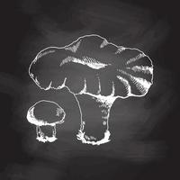 illustration de contour de champignons poussant dans la forêt. croquis blanc isolé sur tableau noir. icône de croquis de vecteur. dessin d'époque. illustration vectorielle vintage éco-alimentaire. vecteur