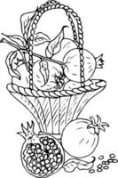 baies de fruits dans un panier. pommes, grenade, prune poire. illustration de doodle, livre de coloriage pour adultes et enfants. vecteur