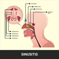 Illustration vectorielle de sinus avec des informations détaillées vecteur