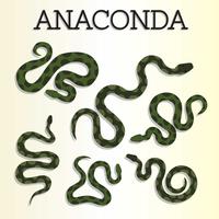 Vecteur gratuit Anaconda