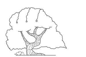 illustration de croquis d'arbre, conception de livre de coloriage avec concept d'élégance vecteur