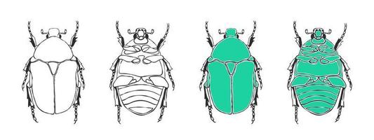 icônes de coléoptère. coléoptère esquissé dessiné à la main. coléoptères de griffonnage. illustration vectorielle vecteur