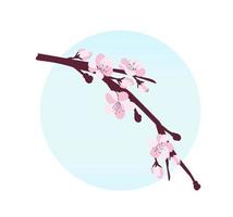 fleur de cerisier. une branche avec des fleurs de cerisier isolées sur fond blanc. illustration vectorielle vecteur