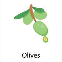 concepts d'olives à la mode vecteur