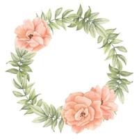 couronne florale aquarelle avec fleurs roses rose pêche et feuilles vertes. cadre circulaire pour cartes de voeux ou invitations de voeux, illustration botanique dessinée à la main sur fond isolé. pivoine beige. vecteur