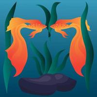 deux poissons rouges aux magnifiques nageoires caudales nagent parmi les algues. illustration vectorielle. vecteur