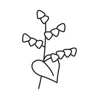 grain de sarrasin, plante avec gruau de noyau, icône d'art en ligne. croquis linéaire, contour de la plante de spica pour l'agriculture, les produits céréaliers, la boulangerie. signe de vecteur