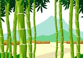 Panorama bambou vecteur libre