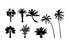 Silhouette vecteur gratuit Palmetto