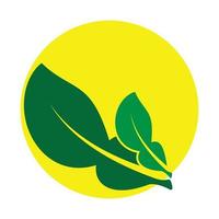 logo feuilles de citron vert vecteur