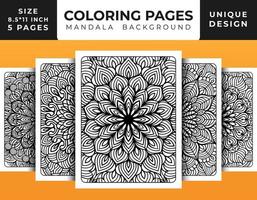 page de coloriage de motif floral de mandala pour adultes relaxation, pages de coloriage fond de mandala, pages de coloriage de mandala noir et blanc, mandala dessiné à la main motif d'art en ligne décrit pro vecteur